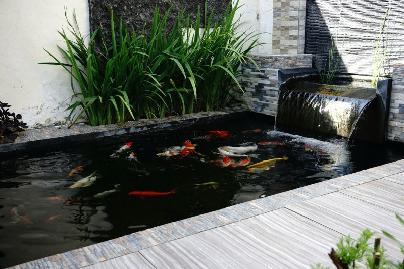 Pond Construction in Ventura County, CA
